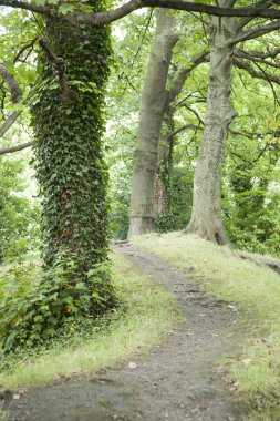St Stephans Green Park, Dublin