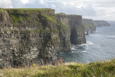 Moher Kayalıkları