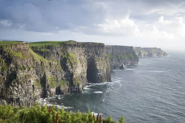 Moher sziklái, Írország — Stock Fotó