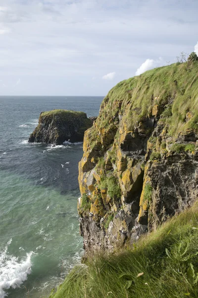 Carrick egy rede island, óriás causeway parti gyalogút — Stock Fotó