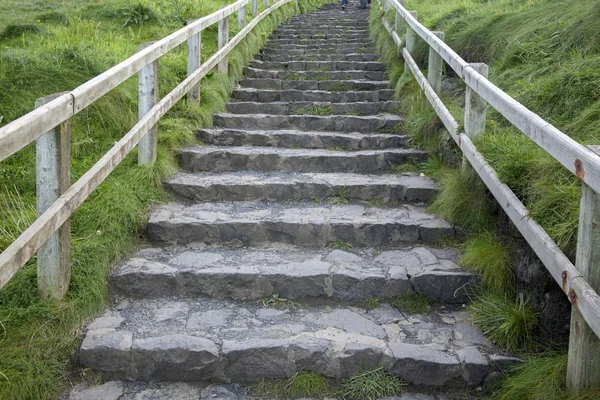 Carrick egy Rede, óriás Causeway tengerparti gyalogutat, Antrim megye — Stock Fotó