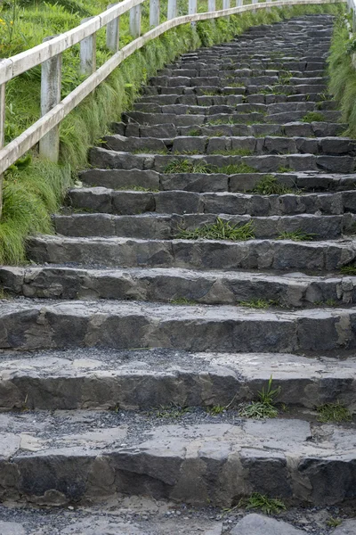 Carrick bir Rede, Giants Causeway, kıyı patika, County Antrim — Stok fotoğraf