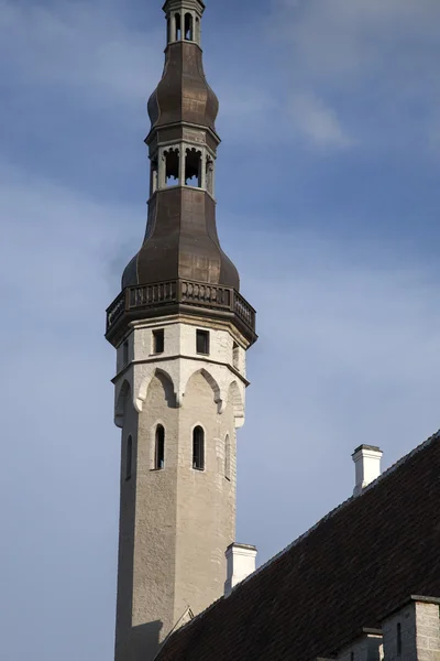 Kilise Kutsal Ruh'un Tallinn — Stok fotoğraf