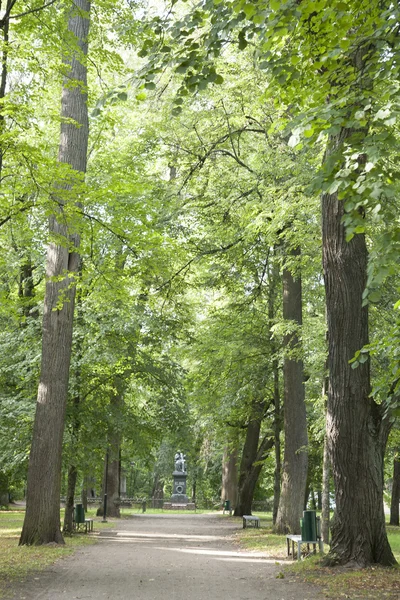 Katedralen Hill Park, Tartu — Stockfoto