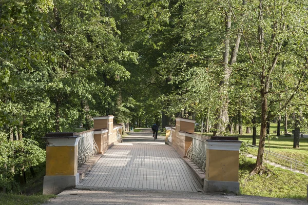 Engelsbrücke, Tartu — Stockfoto