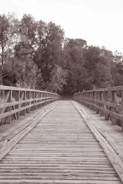 Sendero en Trakai, Vilna —  Fotos de Stock