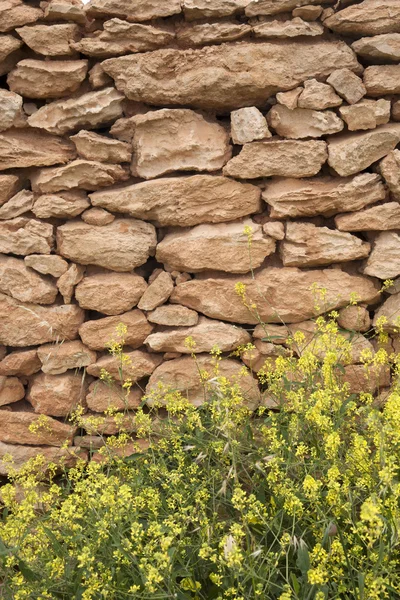フォル メンテラ島の黄色の草と石壁 — ストック写真