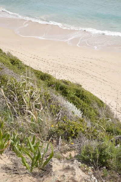 Canos de meca plaży, Kadyks, Andaluzja, Hiszpania — Zdjęcie stockowe