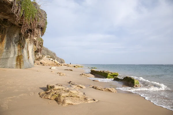 Playa de Canos de Meca, Cádiz, Andalucía —  Fotos de Stock