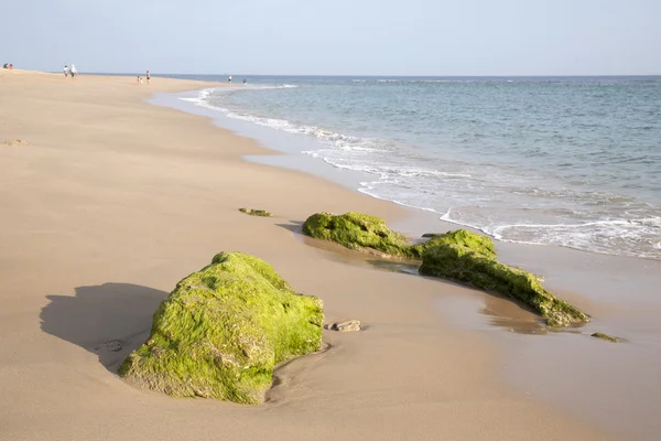 Rots op het strand in Caños de Meca, Cádiz — Stockfoto