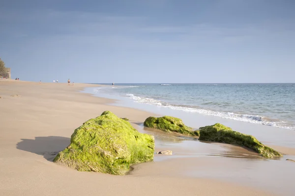 Rots op het strand in Caños de Meca, Cádiz, Andalusië — Stockfoto