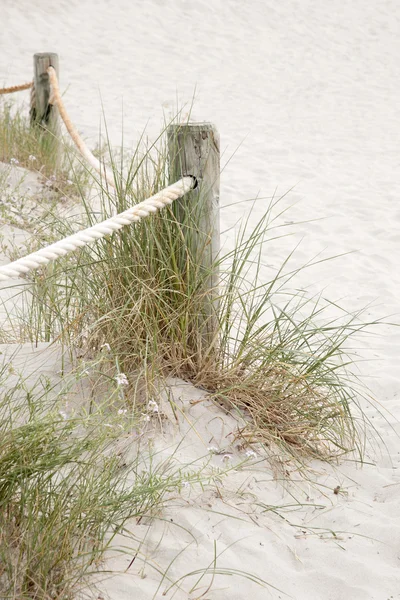 Wooden Post and Grass, Saona Cove Beach, Formentera — Stock Photo, Image
