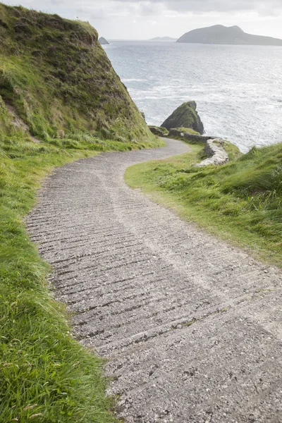 Road Down to Dunquin Harbor with Blasket Island — Stock Photo, Image
