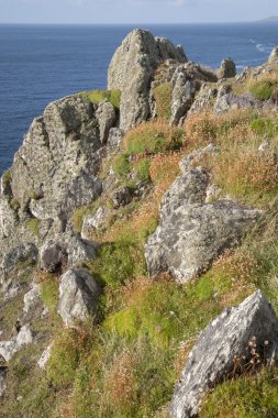 Kafa Dingle Yarımadası'nda