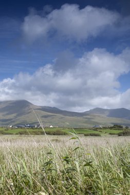 Dağlar ve cennet Dingle Yarımadası'nda