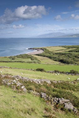 View from Brandon Point, Dingle Peninsula clipart