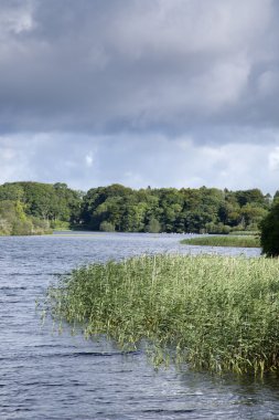 Lough Leane'i Gölü, Killarney Milli Parkı