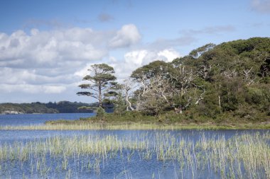 Lough Leane'i Dinis yazlık Cafe yoldan, Killarney Ulusal Par