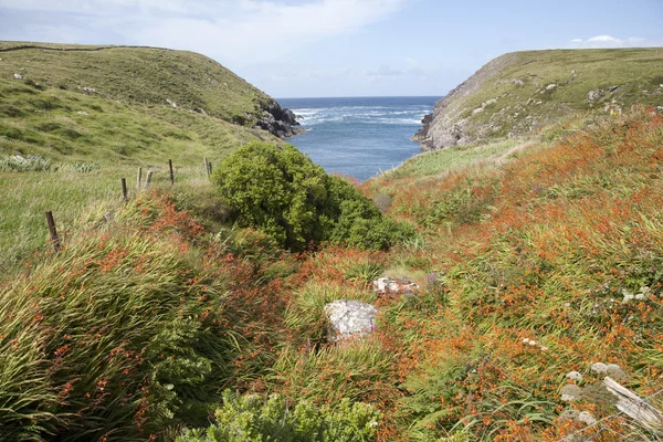 Brandon Creek, Península de Dingle — Fotografia de Stock