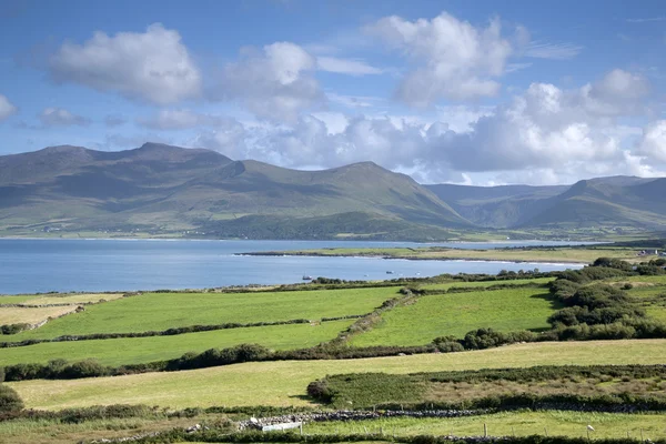 Nézd meg Brandon pont, Dingle-félsziget — Stock Fotó