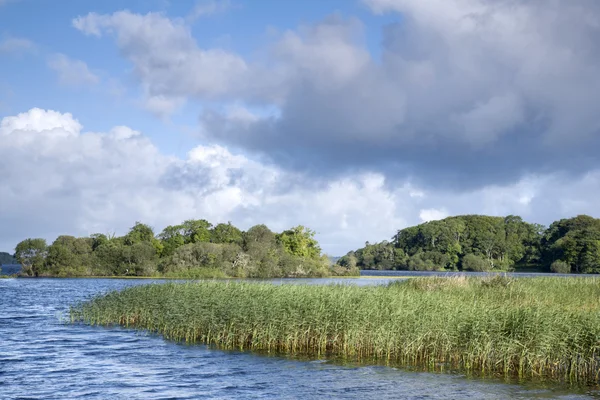 Lough Leane'i Gölü, Killarney Milli Parkı — Stok fotoğraf