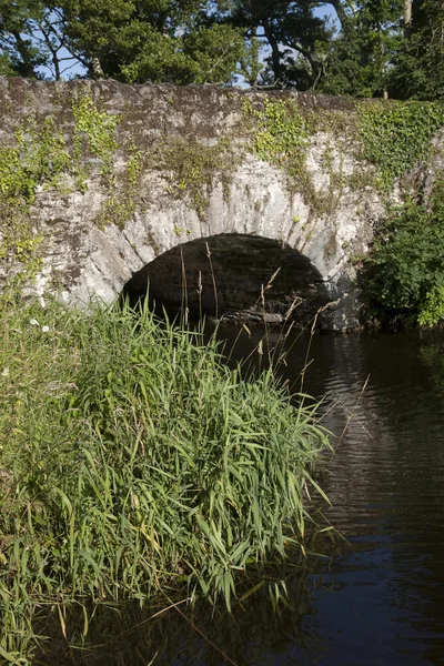 Taş köprü Killarney Milli Parkı'nda, County Kerry — Stok fotoğraf