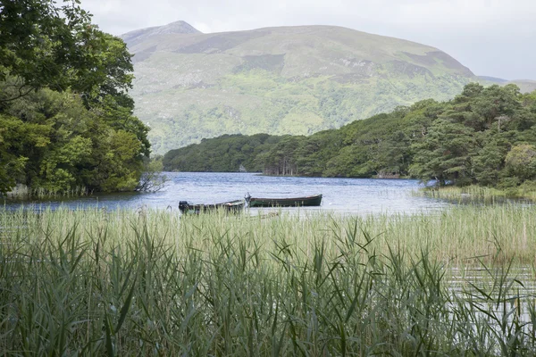 Lough Leane jezioro, Park Narodowy Killarney — Zdjęcie stockowe