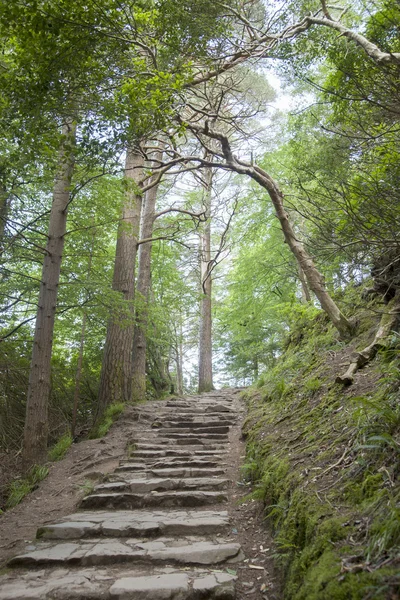 Путь Керри возле водопада Торк — стоковое фото