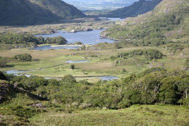 Ladies View, Killarney National Park clipart