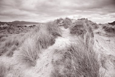 Rossbeigh Beach, County Kerry;