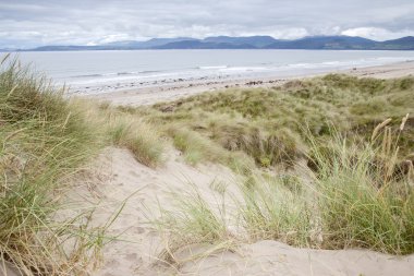 Rossbeigh Beach, County Kerry;