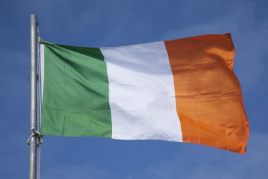 İrlanda ulusal bayrak