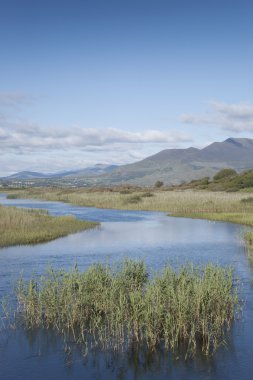 Nehir Currane; Waterville
