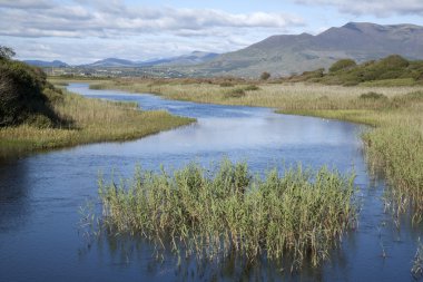 Nehir Currane; Waterville