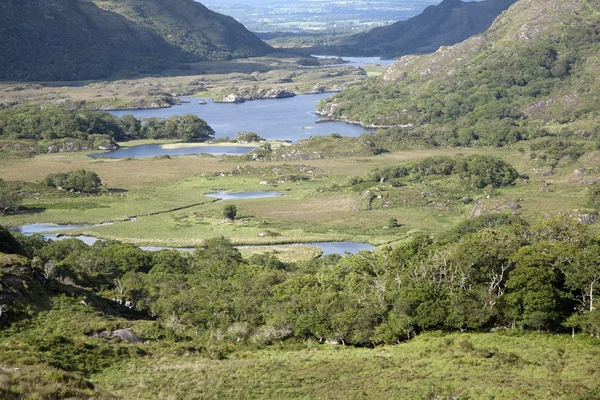 Damenblick, Killarney-Nationalpark — Stockfoto