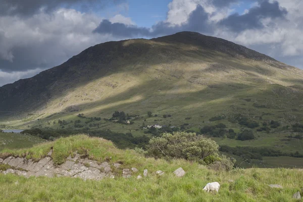 Ύπαιθρο κοντά Molls κενό? Εθνικό Πάρκο Killarney — Φωτογραφία Αρχείου