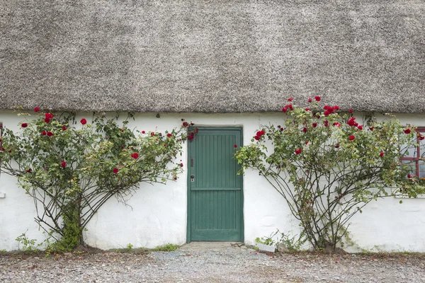 Kırsal ev giriş — Stok fotoğraf
