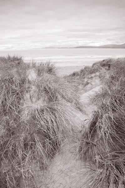 Rossbeigh Strand, Grafschaft Kerry; — Stockfoto