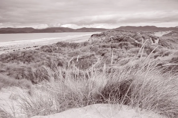 Rossbeigh Beach, Kerry megye; — Stock Fotó