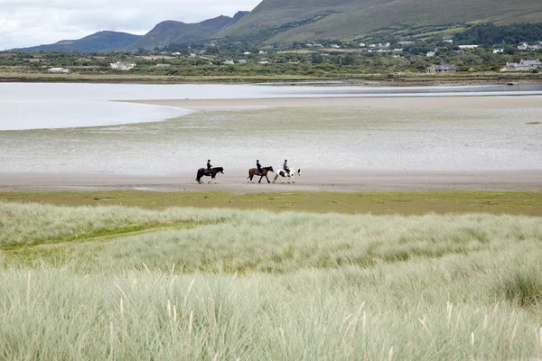 在 Rossbeigh 的海滩上骑马 — 图库照片