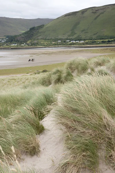 Rossbeigh Beach binme, County Kerry — Stok fotoğraf