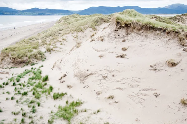 Rossbeigh Beach and Dingle Peninsula, County Kerry — Stock Photo, Image