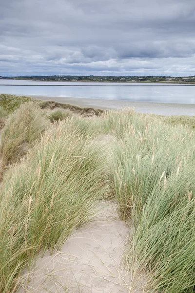 Spiaggia di Rossbeigh e penisola di Dingle, contea di Kerry — Foto Stock