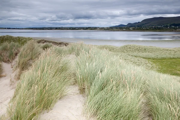 Rossbeigh beach und dingle peninsula, county kerry — Stockfoto