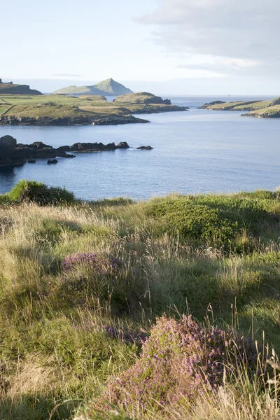 Vista de Skellig Isles de Valentia Island — Fotografia de Stock