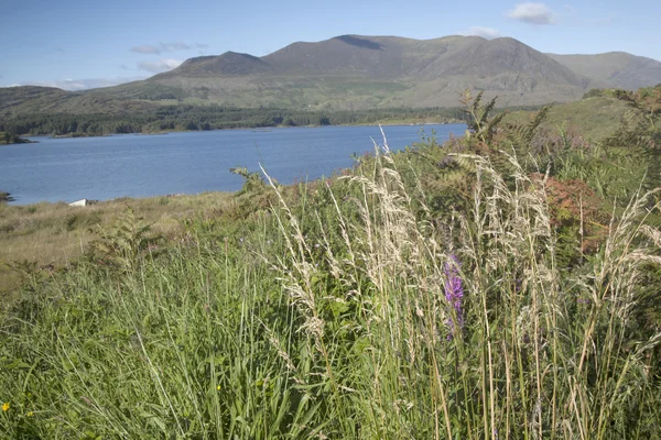 Lough Currane, Waterville — Stockfoto