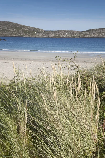 Playa de Derrymore Bay; Waterville —  Fotos de Stock