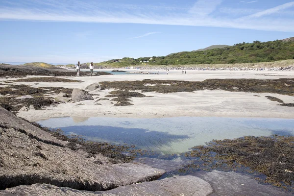 Kaya havuzu, Derrymore Bay Beach; Waterville — Stok fotoğraf