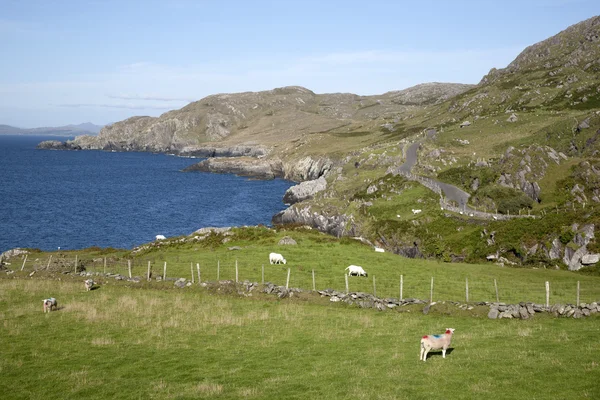 Costa cerca de Urhan Village, Península de Beara; Cork — Foto de Stock