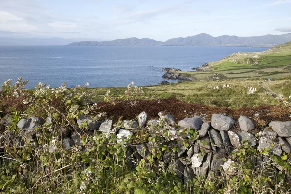 Lambs Head; Beara Peninsula; Cork — Stock Photo, Image